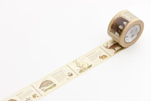 Air Mail Winged Envelopes Washi Tape — The Gentleman Stationer